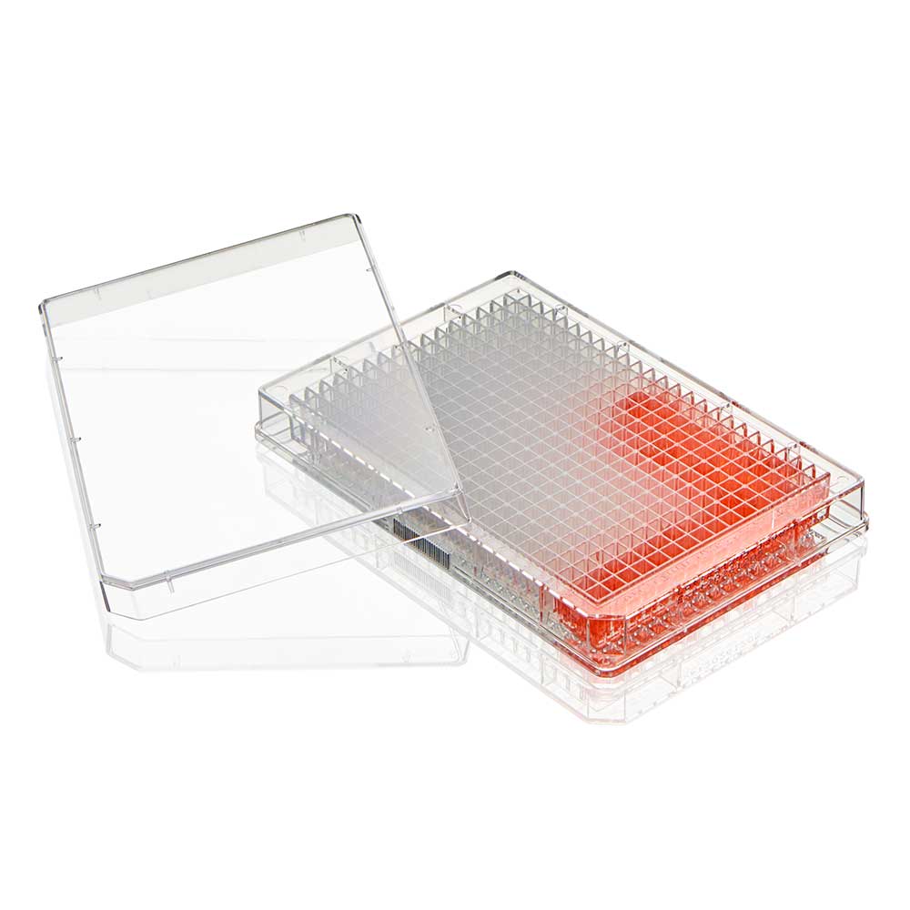 Globe Scientific TC-PLT-384 Diamond SureGro Multiple Well Plate 384 Well Flat Bottom Tissue Culture Treated Sterile Individually Wrapped