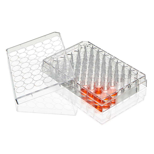 Globe Scientific TC-PLT-48-NT Diamond SureGro Multiple Well Plate 48 Well Flat Bottom Non-treated Sterile Individually Wrapped