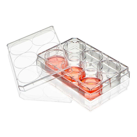 Globe Scientific TC-PLT-6-NT Diamond SureGro Multiple Well Plate 6 Well Flat Bottom Non-treated Sterile Individually Wrapped
