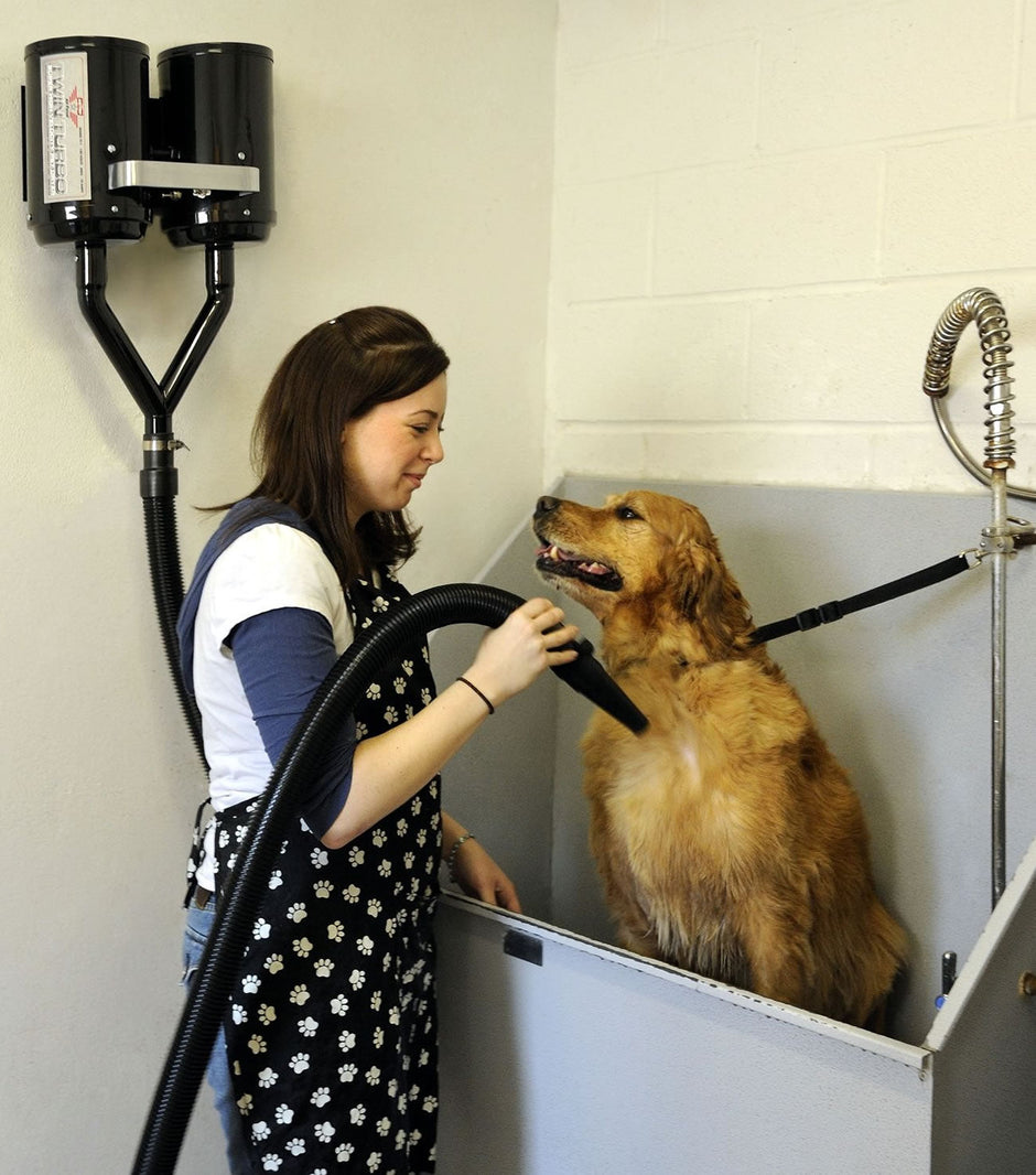 Metrovac 114-142591 Air Force Twin Turbo High Velocity Dryer