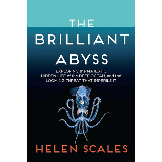Paradise Clay PGN362 The Brilliant Abyss: Exploring the Majestic Hidden Life of the Deep Ocean, and the Looming Threat That Imperils It - Book