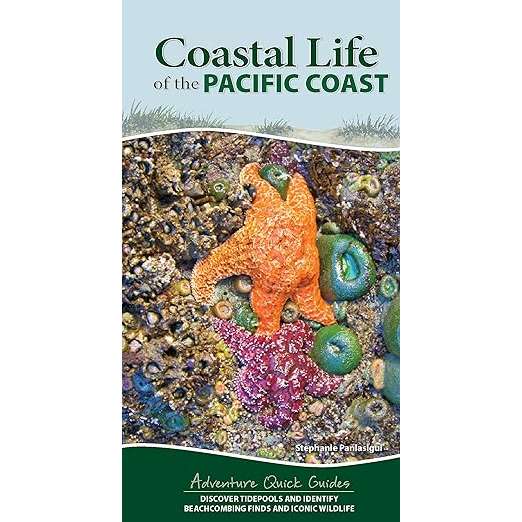 Paradise Clay AVK153 Coastal Life of the Pacific Coast: Discover Tidepools and Identify Beachcombing Finds and Iconic Wildlife - Book