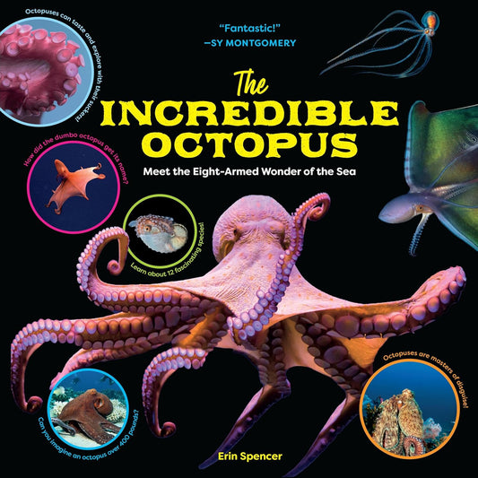 Paradise Clay HCT086 The Incredible Octopus - Book