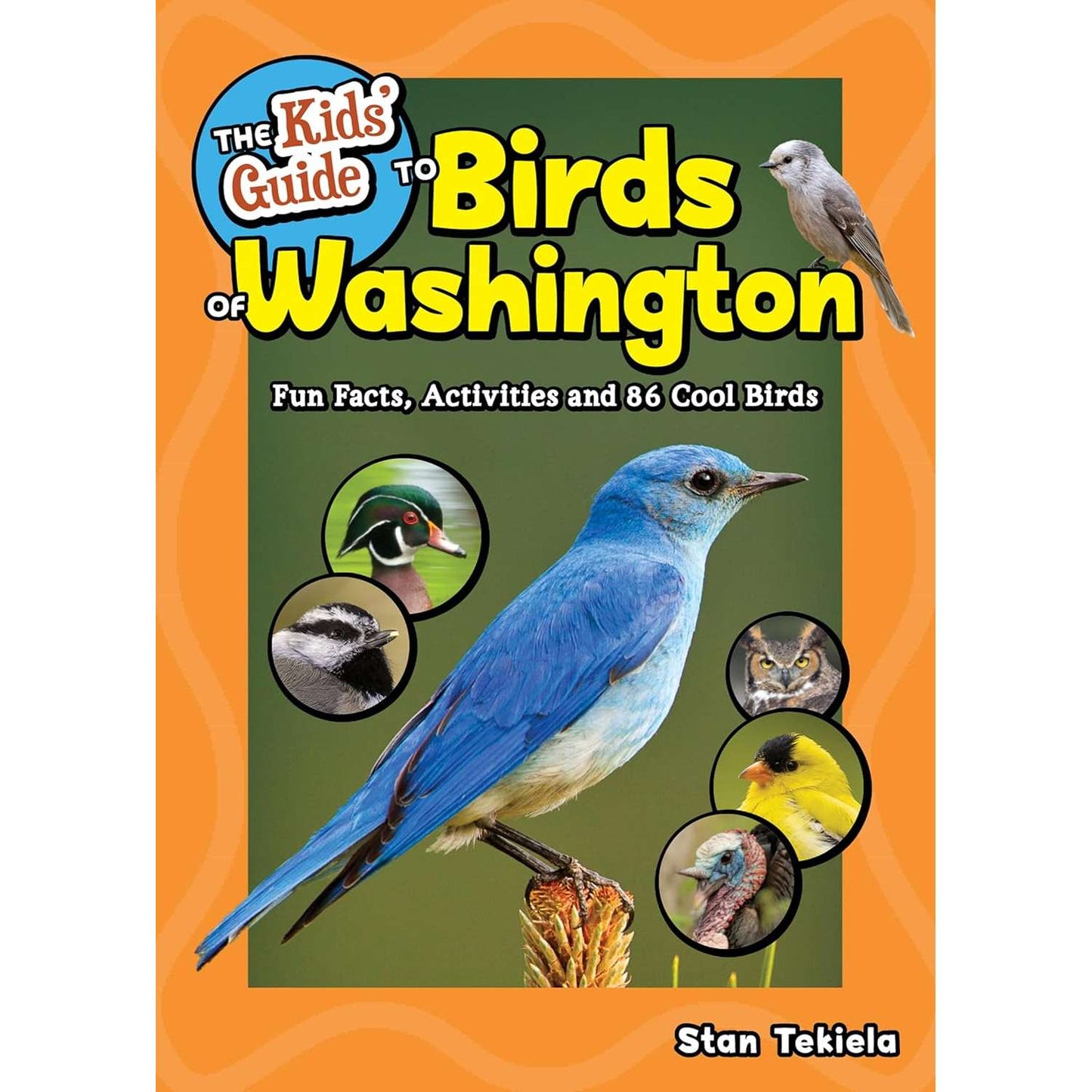 Paradise Clay AVK142 The Kids' Guide to Birds of Washington - Book