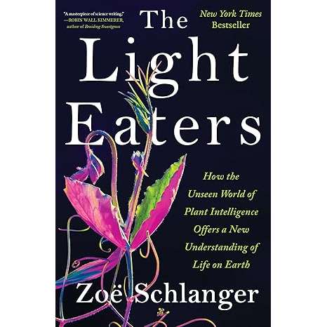 Paradise Clay HRW236 The Light Eaters - Book