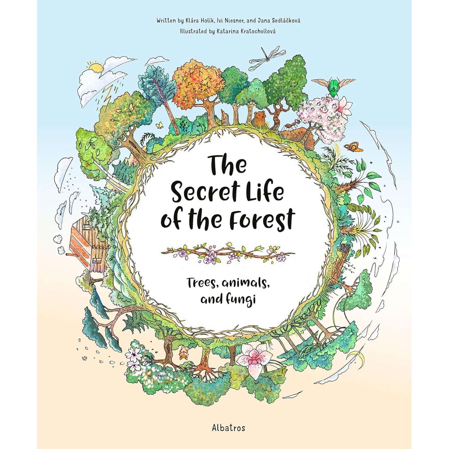 Paradise Clay PGW293 The Secret Life of the Forest: Trees, Animals, and Fungi - Book