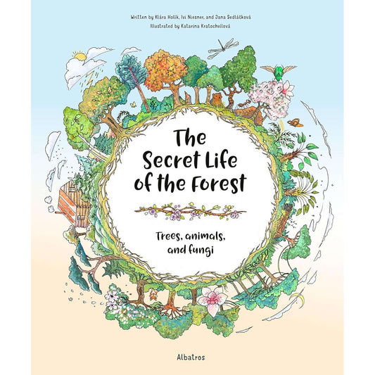Paradise Clay PGW293 The Secret Life of the Forest: Trees, Animals, and Fungi - Book