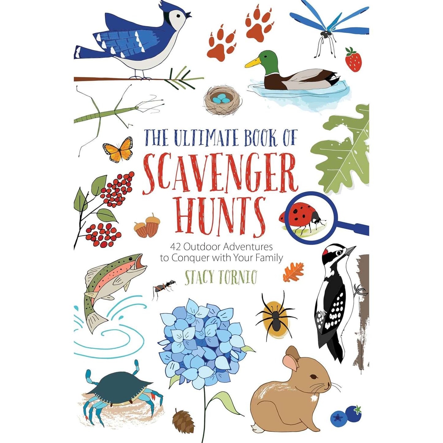 Paradise Clay NBN065 The Ultimate Book of Scavenger Hunts - Book