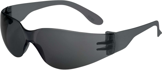 Delta Plus WELBRAVAFU20 Brava Smoke Gray AS 2.0 Glasses Readers RX