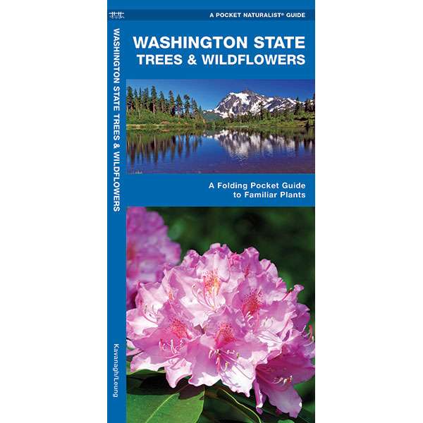 Paradise Clay WFP017 Washington State Trees & Wildflowers - Folding Pocket Guide
