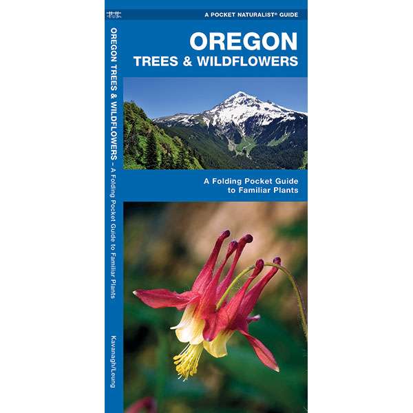 Paradise Clay WFP038 Oregon Trees & Wildflowers - Folding Pocket Guide
