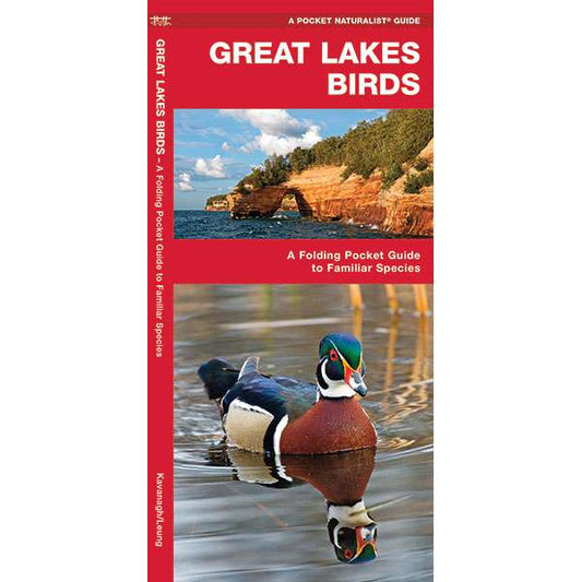 Paradise Clay WFP043 Great Lakes Birds - Folding Pocket Guide