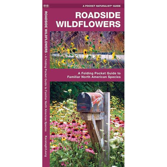 Paradise Clay WFP095 Roadside Wildflowers - Folding Pocket Guide