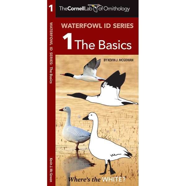 Paradise Clay WFP114 Cornell Lab of Ornithology Waterfowl ID: #1 The Basics - Folding Pocket Guide