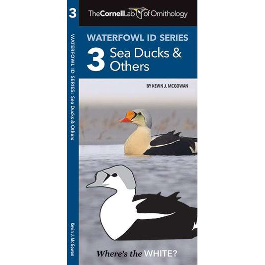 Paradise Clay WFP116 Cornell Lab of Ornithology Waterfowl ID: #3 Sea Ducks & Others - Folding Pocket Guide