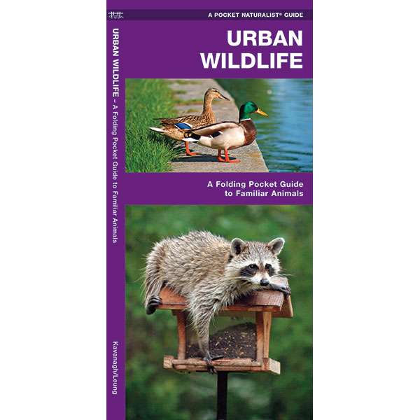 Paradise Clay WFP133 Urban Wildlife - Folding Pocket Guide