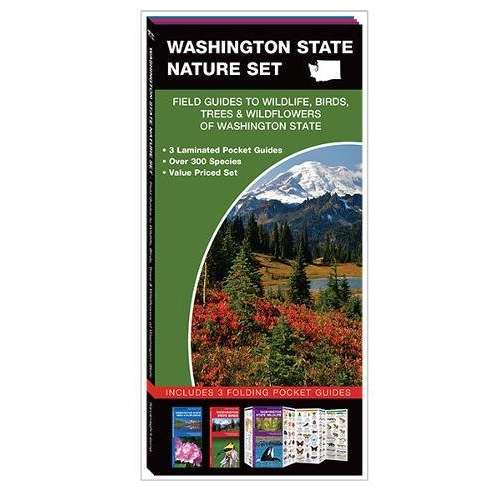 Paradise Clay WFP140 Washington State Nature Set: Field Guides to Wildlife, Birds, Trees & Wildflowers of Washington State - Folding Pocket Guide