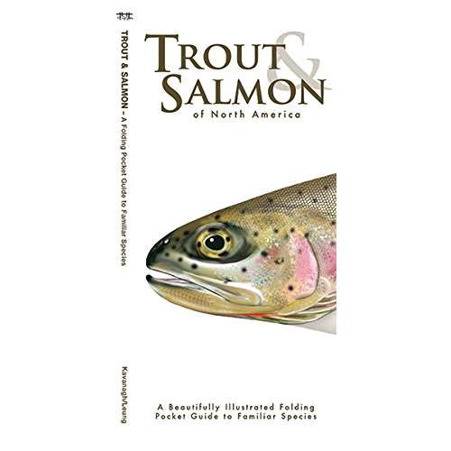 Paradise Clay WFP143 Trout & Salmon of North America - Folding Pocket Guide