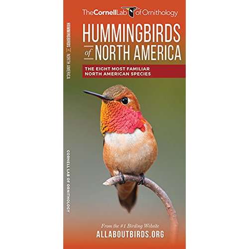 Paradise Clay WFP156 Hummingbirds of North America: The Eight Most Familiar North American Species - Folding Pocket Guide