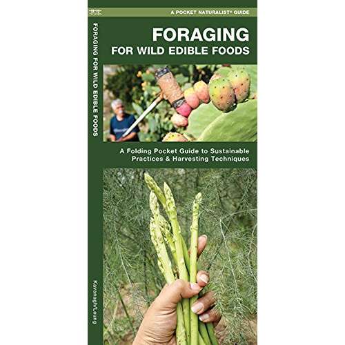 Paradise Clay WFP161 Foraging for Wild Edible Foods: A Folding Pocket Guide to Sustainable Practices & Harvesting Techniques - Folding Pocket Guide
