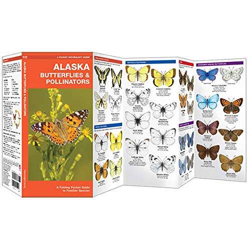Paradise Clay WFP185 Alaska Butterflies & Pollinators: A Folding Pocket Guide to Familiar Species - Folding Pocket Guide