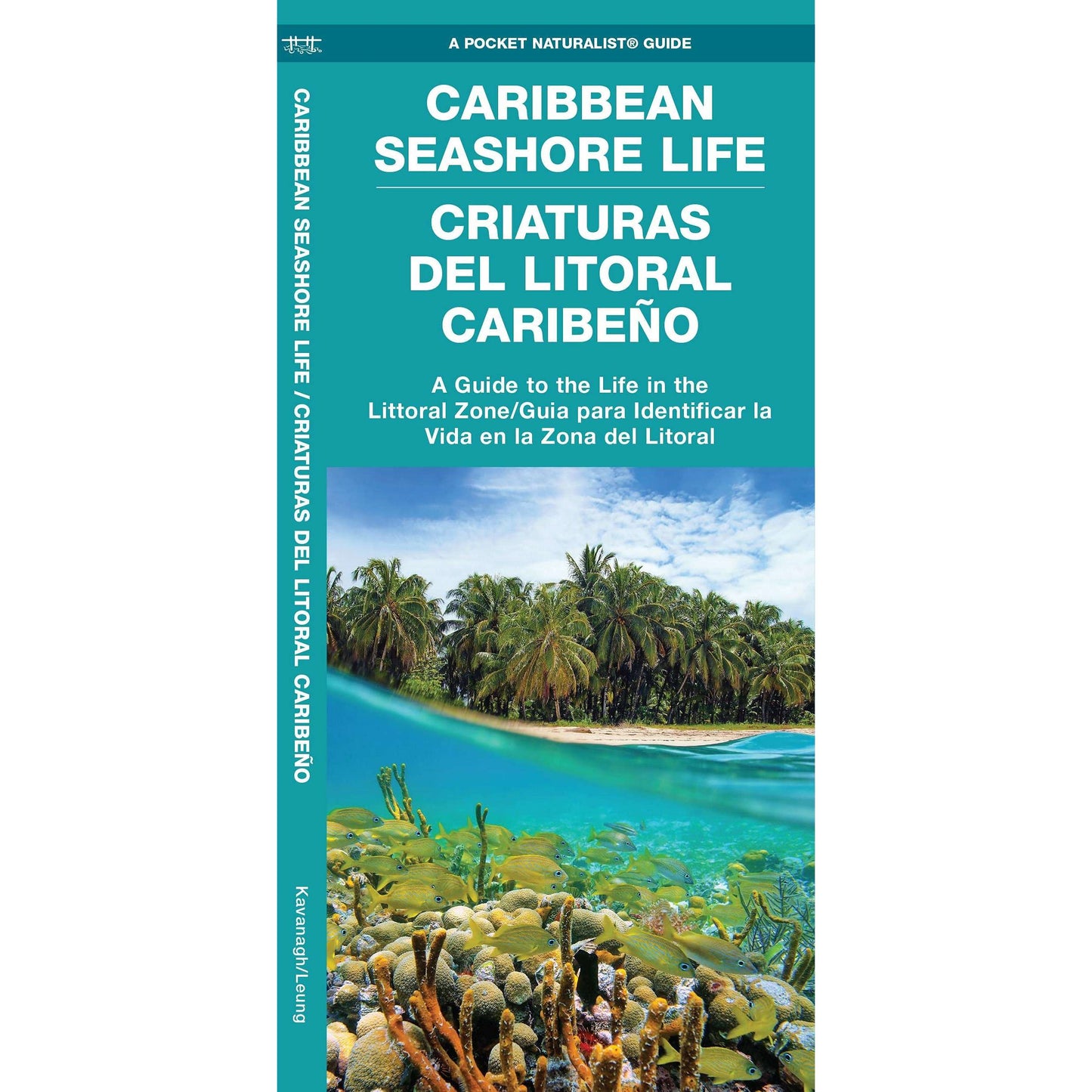 Paradise Clay WFP188 Caribbean Seashore Life (Criaturas Del Litoral Caribeno): A Guide to the Life in the Littoral Zone (Bilingual) - Folding Pocket Guide
