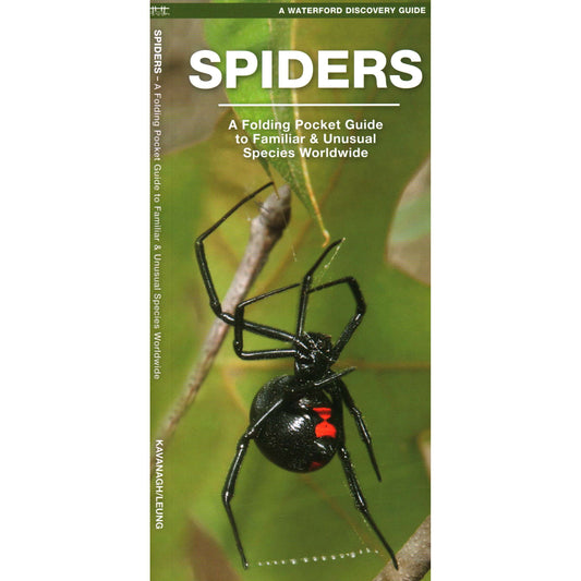 Paradise Clay WFP193 Spiders: A Folding Pocket Guide to Familiar Species Worldwide - Folding Pocket Guide
