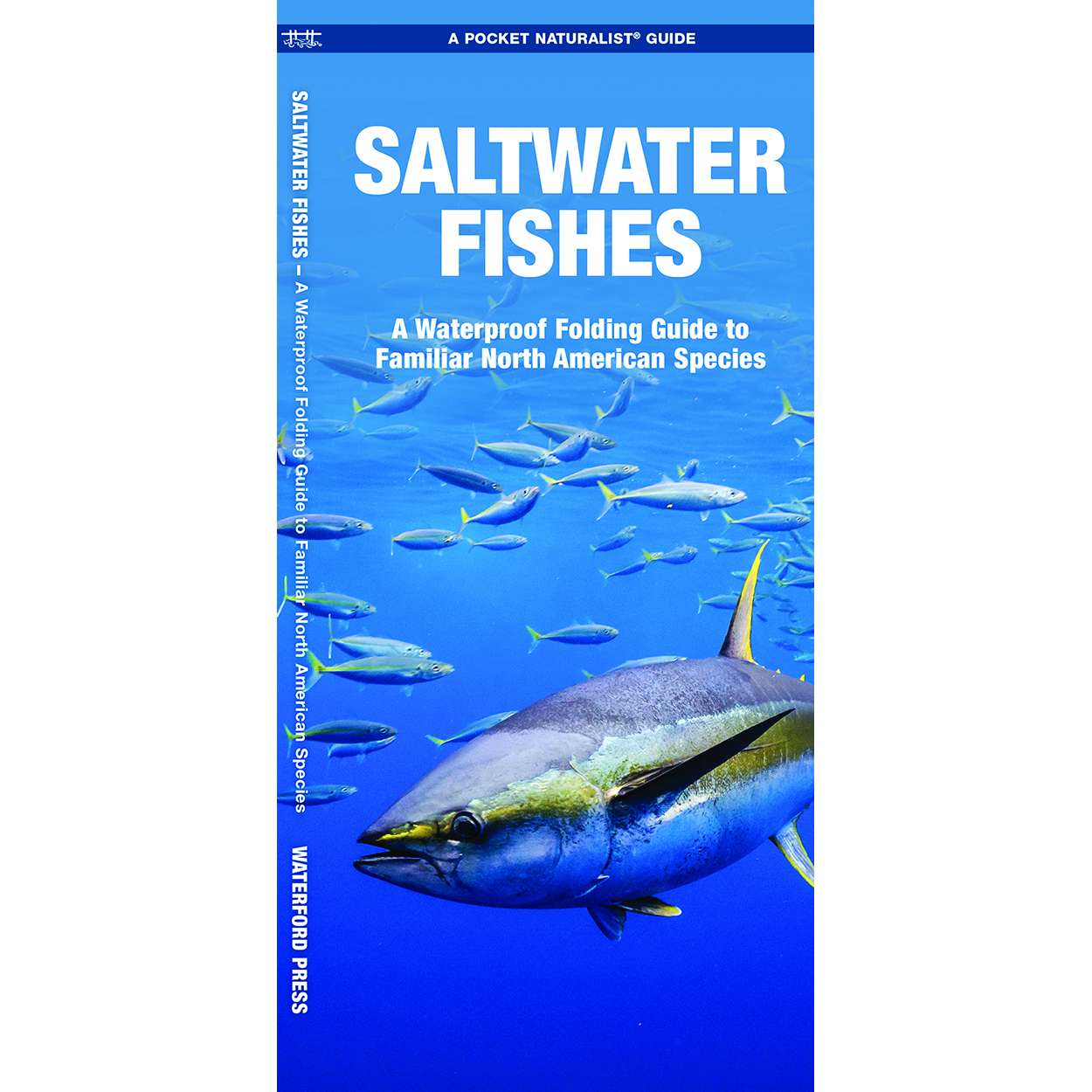 Paradise Clay WFP194 Saltwater Fishes 2nd Ed. - Folding Pocket Guide
