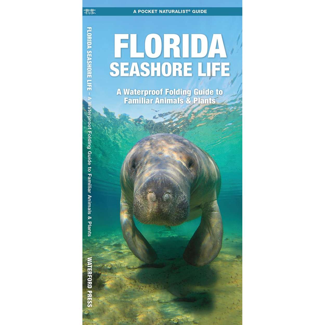 Paradise Clay WFP201 Florida Seashore Life: A Waterproof Folding Guide to Familiar Animals & Plants - Folding Pocket Guide