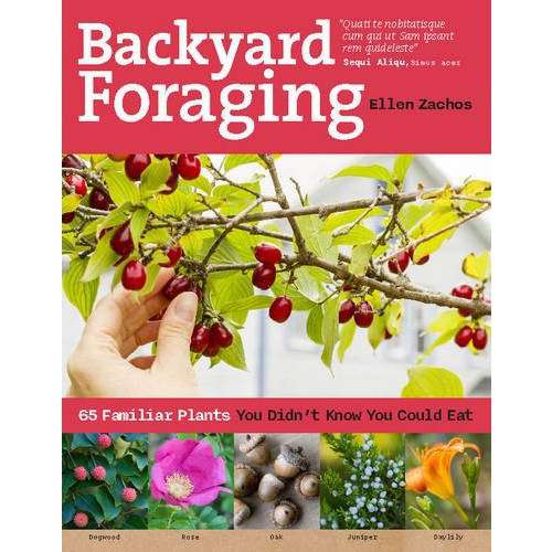 Paradise Clay WPC024 Backyard Foraging: 65 Familiar Plants You Didn't Know You Could Eat - Book