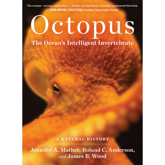 Paradise Clay WPC076 Octopus: The Ocean's Intelligent Invertebrate - Book