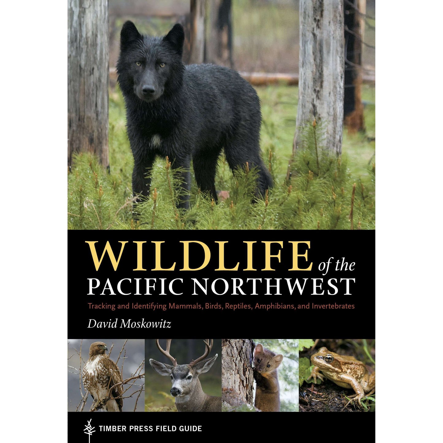Paradise Clay WPC127 Wildlife of the Pacific Northwest: Tracking and Identifying Mammals, Birds, Reptiles, Amphibians, and Invertebrates - Book