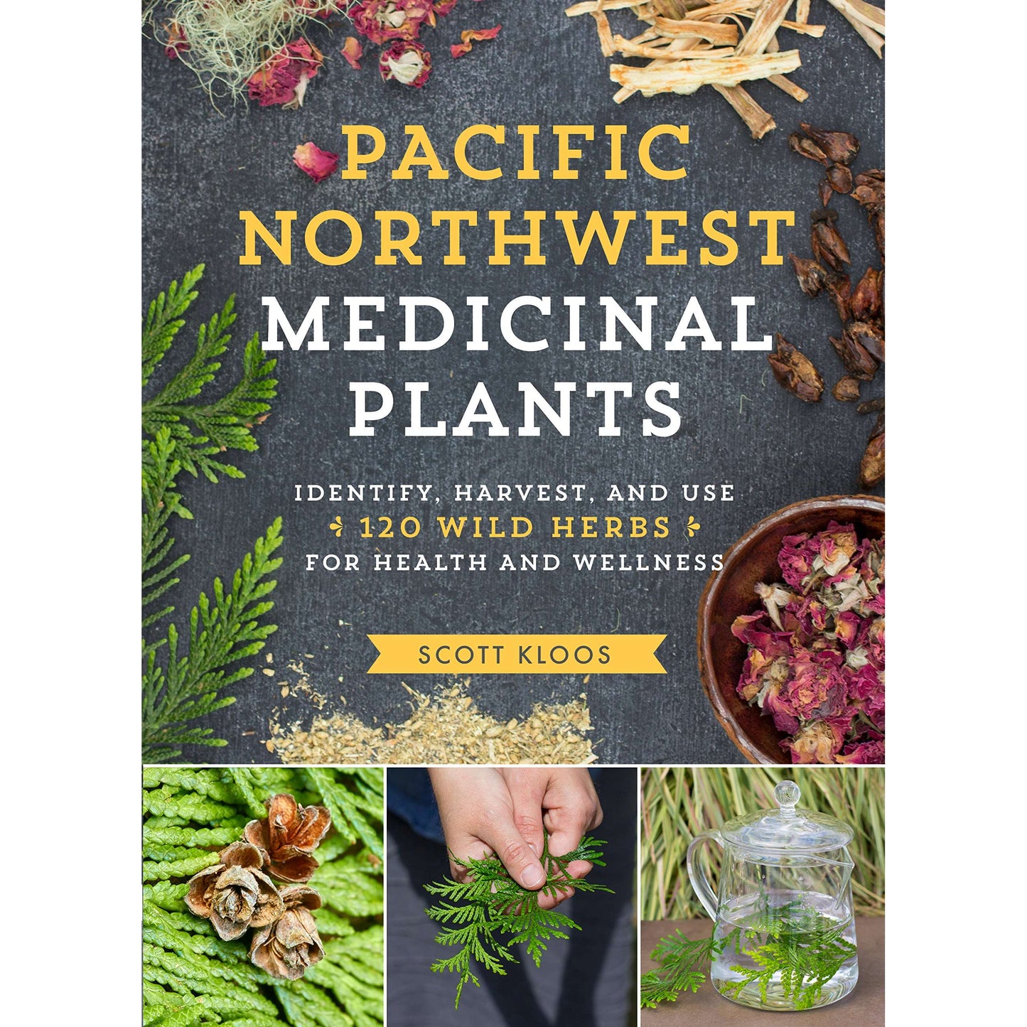 Paradise Clay WPC129 Pacific Northwest Medicinal Plants: Identify, Harvest, and Use 120 Wild Herbs for Health and Wellness - Book