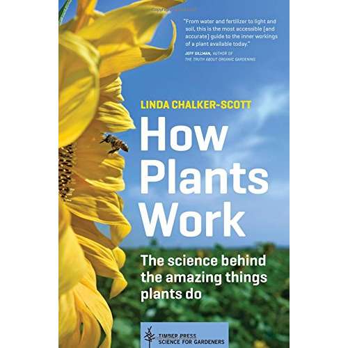 Paradise Clay WPC136 How Plants Work - Book