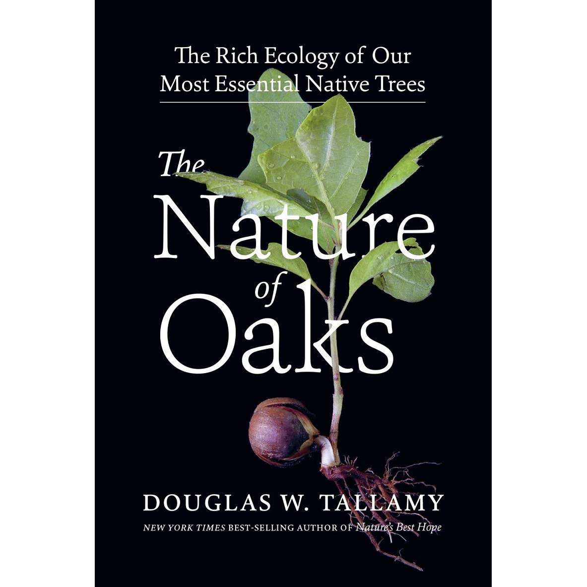 Paradise Clay WPC165SP The Nature of Oaks: The Rich Ecology of Our Most Essential Native Trees - Book