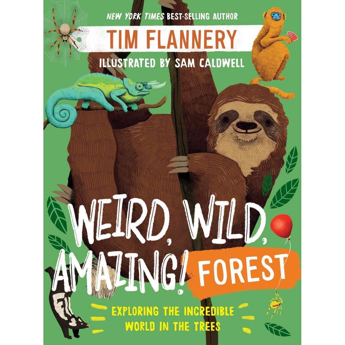 Paradise Clay WWN862 Weird, Wild, Amazing! Forest - Book