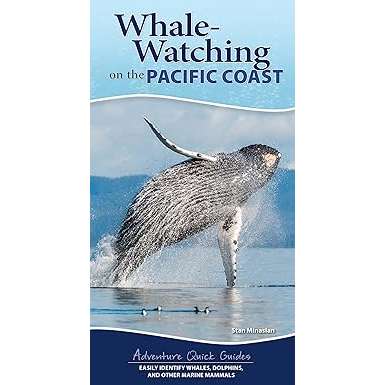 Paradise Clay AVK149 Whale-Watching on the Pacific Coast - Pocket Book