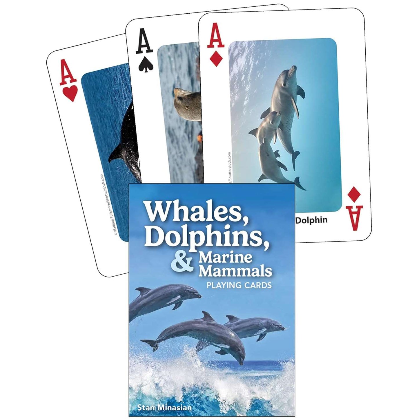 Paradise Clay AVK160 Whales, Dolphins, & Marine Mammals Playing Cards