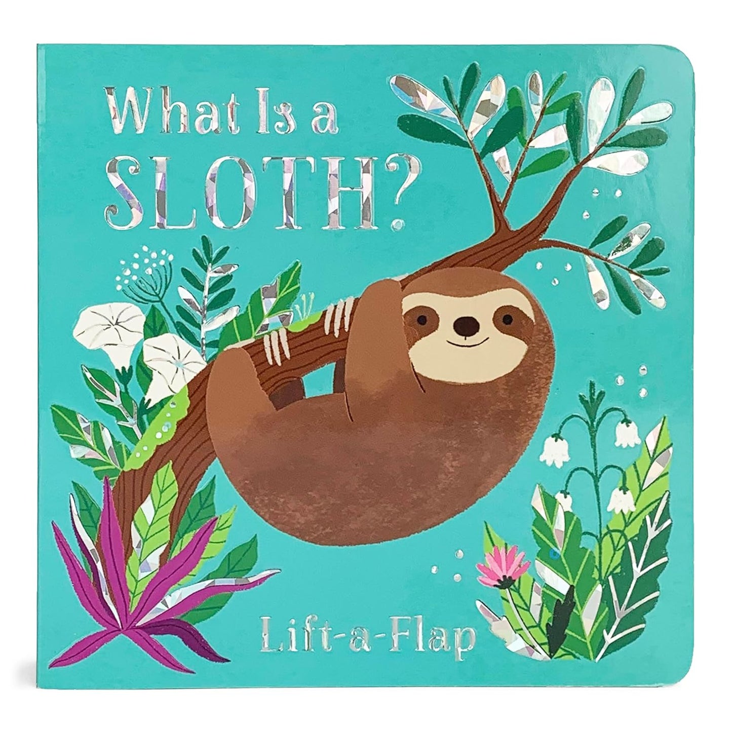 Paradise Clay CDP005 What is a Sloth? - Board Book
