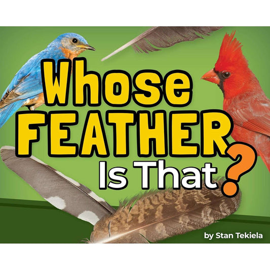 Paradise Clay AVK167 Whose Feather Is That? - Book