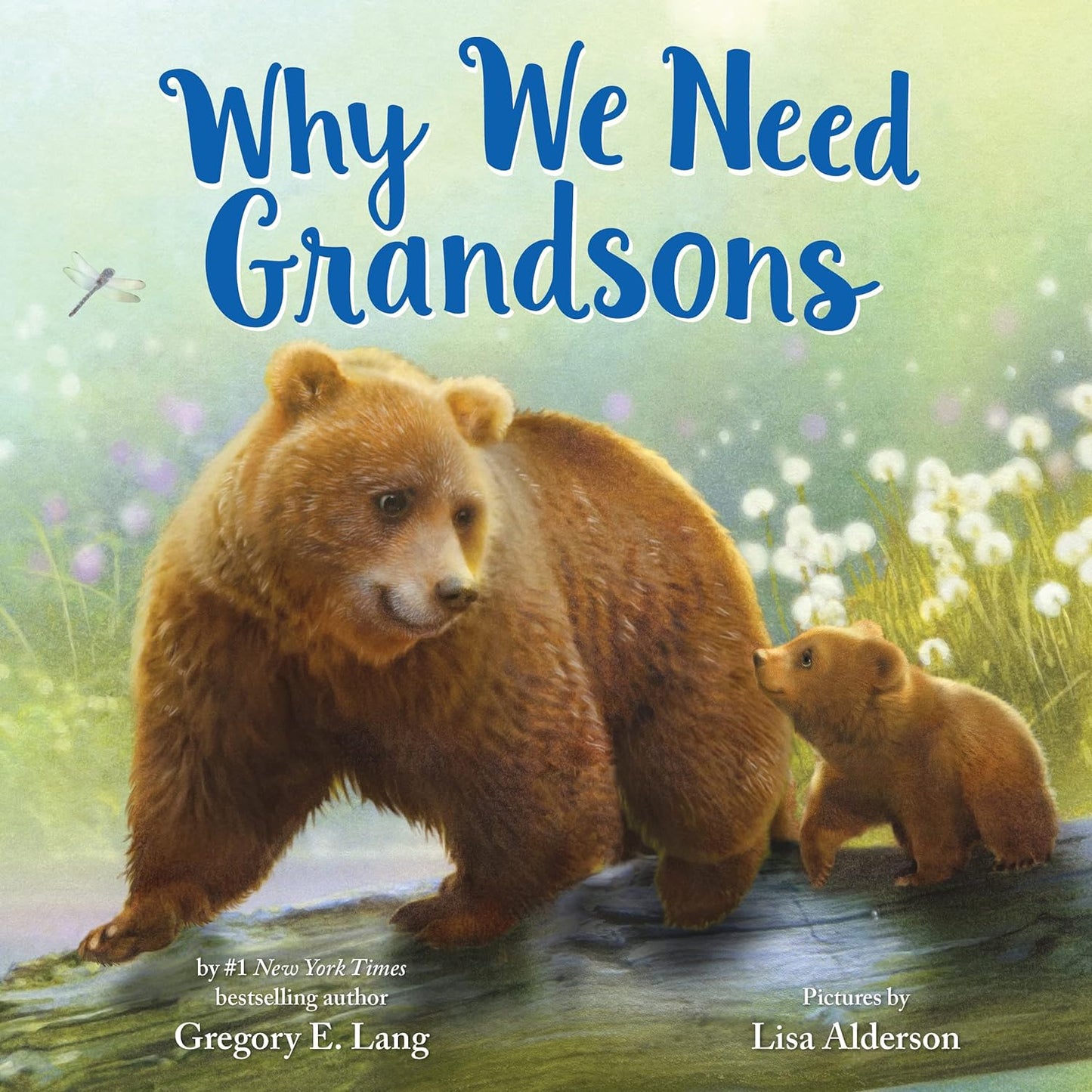Paradise Clay SBI021 Why We Need Grandsons - Book