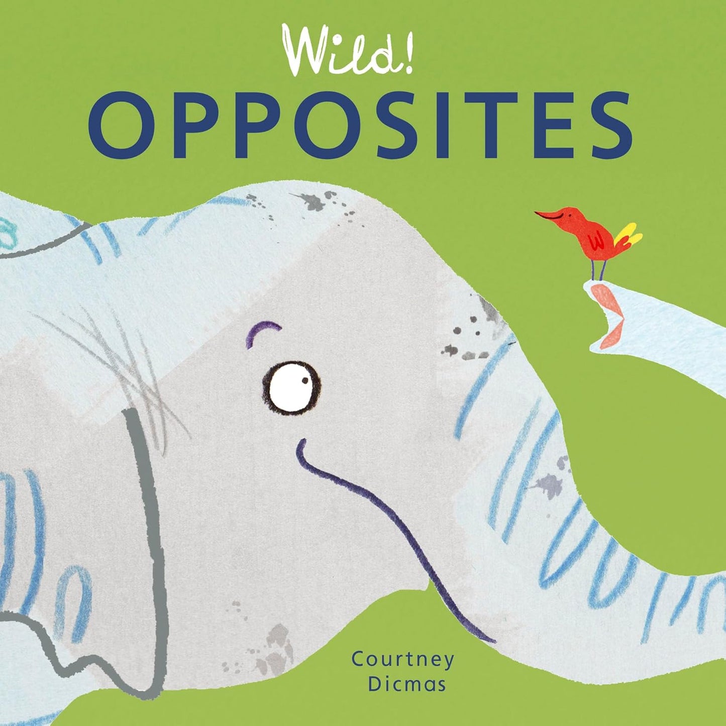 Paradise Clay CPB012 Wild! Opposites - Board Book