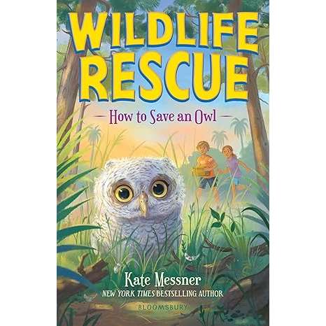 Paradise Clay MPS275 Wildlife Rescue: How to Save an Owl - Book