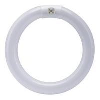 Feit Electric FC8T9/D Daylight Circular T9 Non-Dimmable CFL Light Bulb