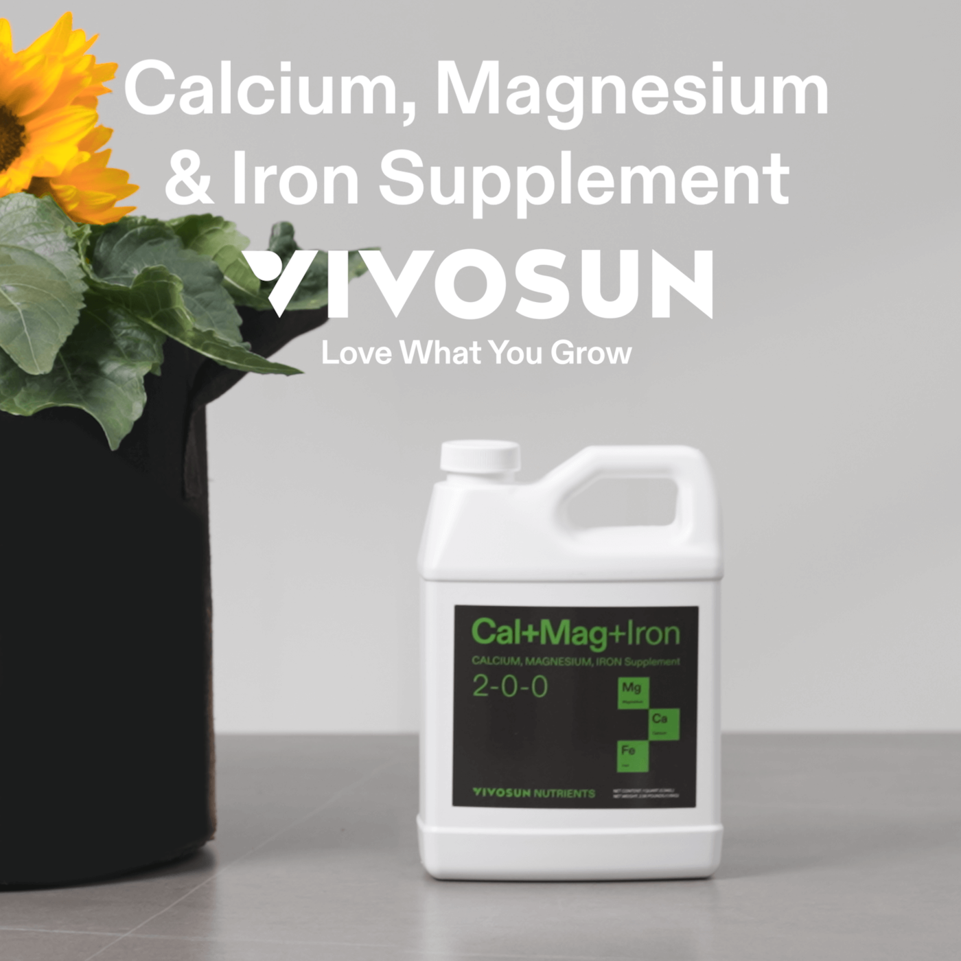 Vivosun Cal+Mag+Iron (2-0-0), Calcium, Magnesium & Iron Supplement, Liquid Nutrient Fertilizer for All Plants, 1 Quart