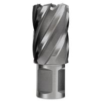 EVOLUTION CC100L Cyclone Cutter 1"X2"