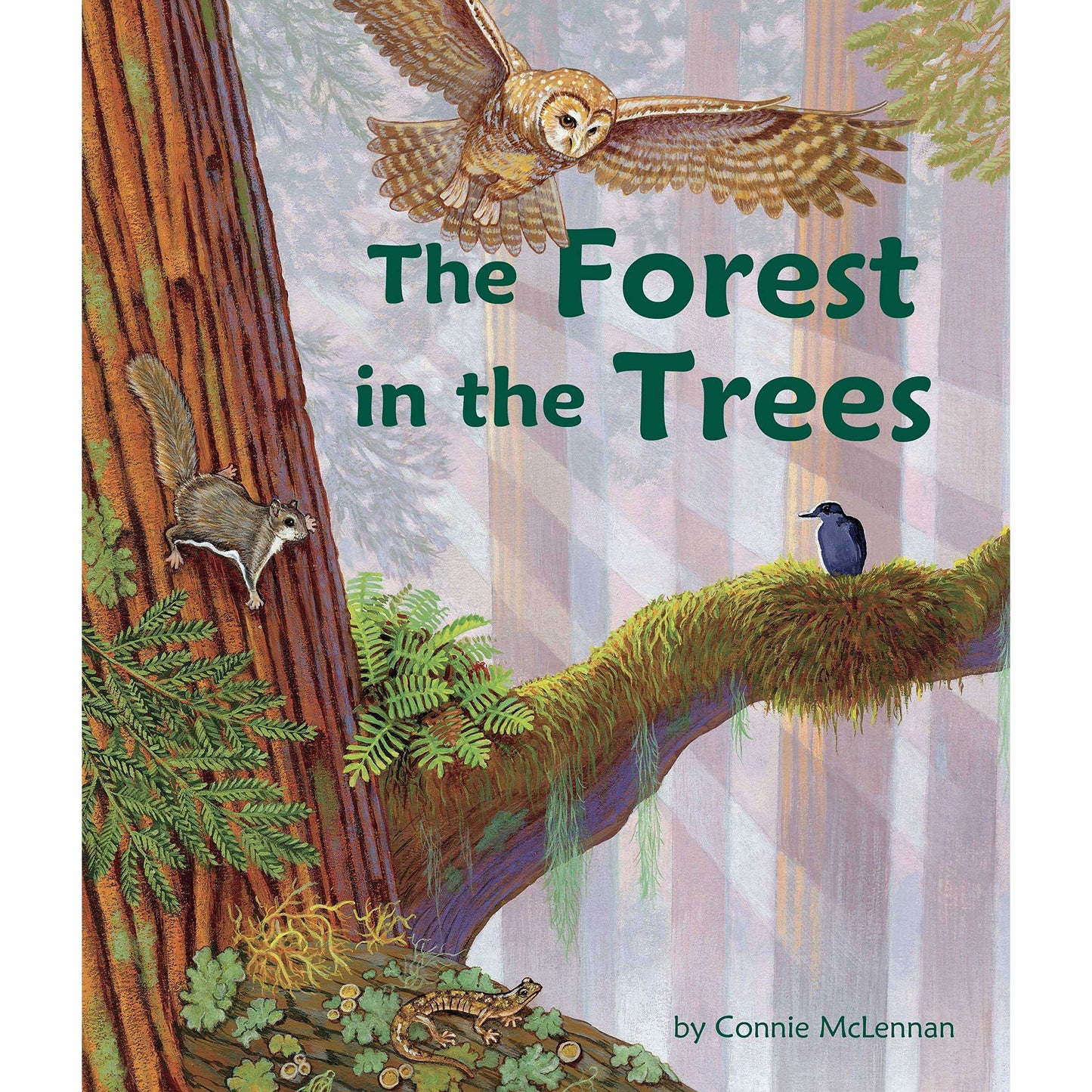 Paradise Clay ARB003 The Forest in the Trees - Book