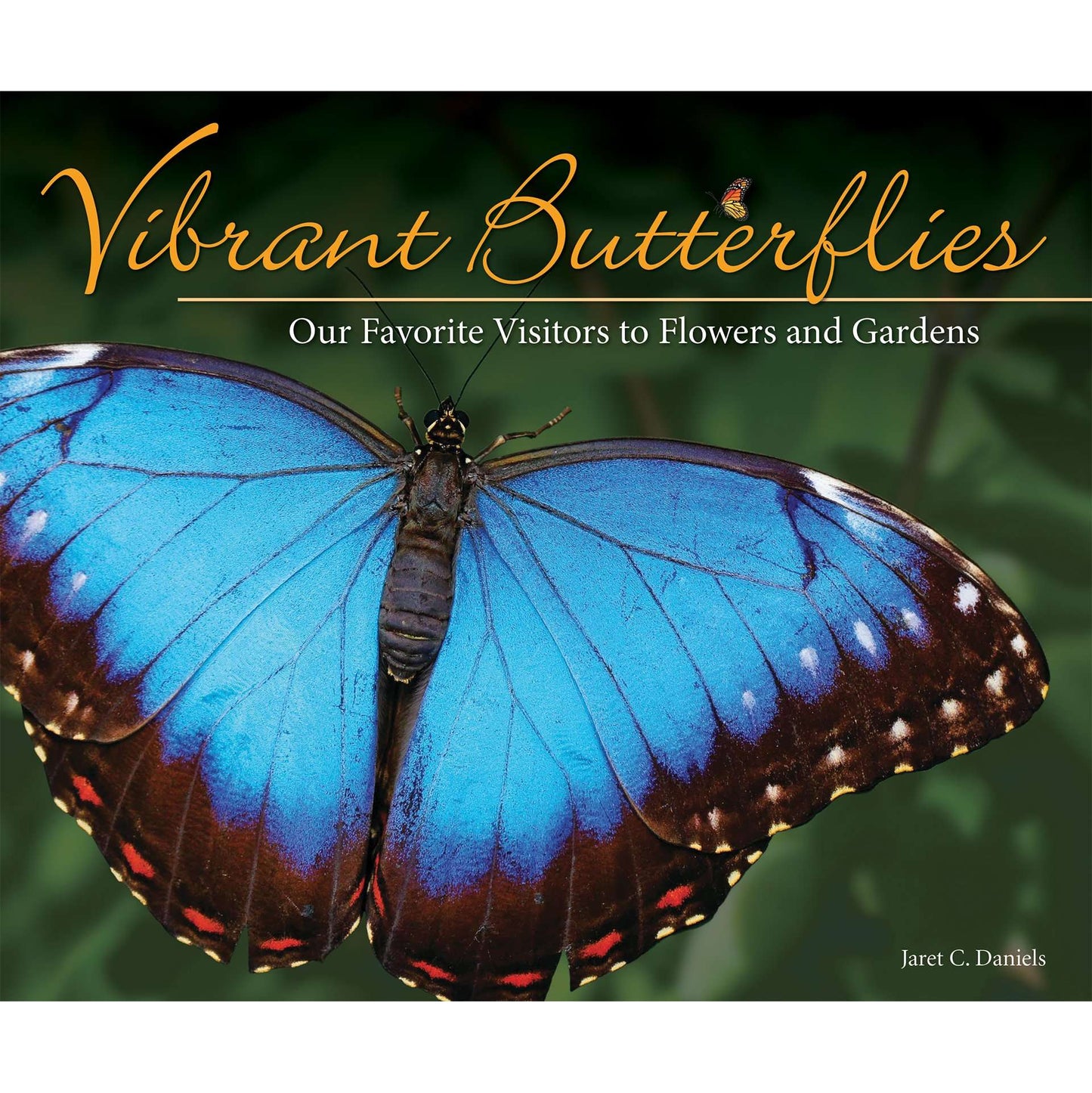 Paradise Clay AVK048 Vibrant Butterflies: Our Favorite Visitors to Flowers and Gardens - Book