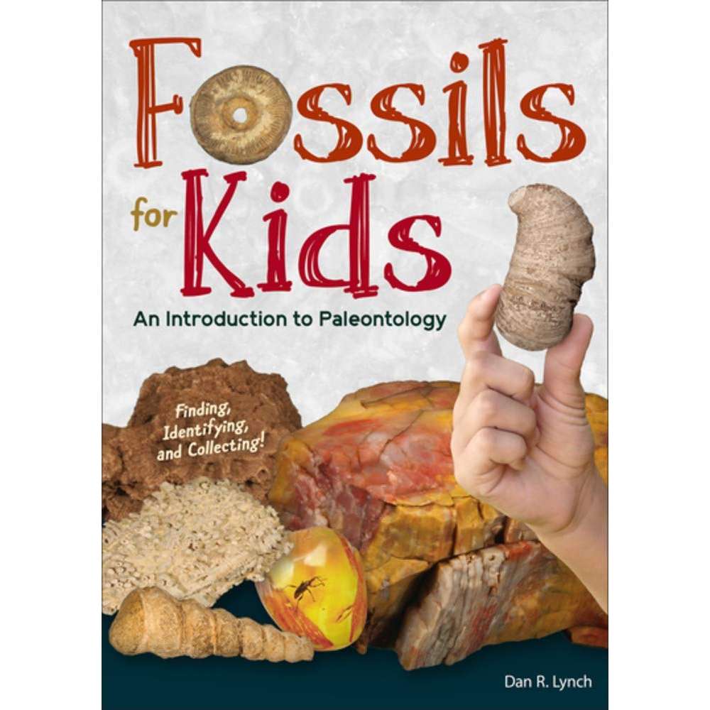 Paradise Clay AVK087 Fossils for Kids: an Introduction to Paleontology - Book