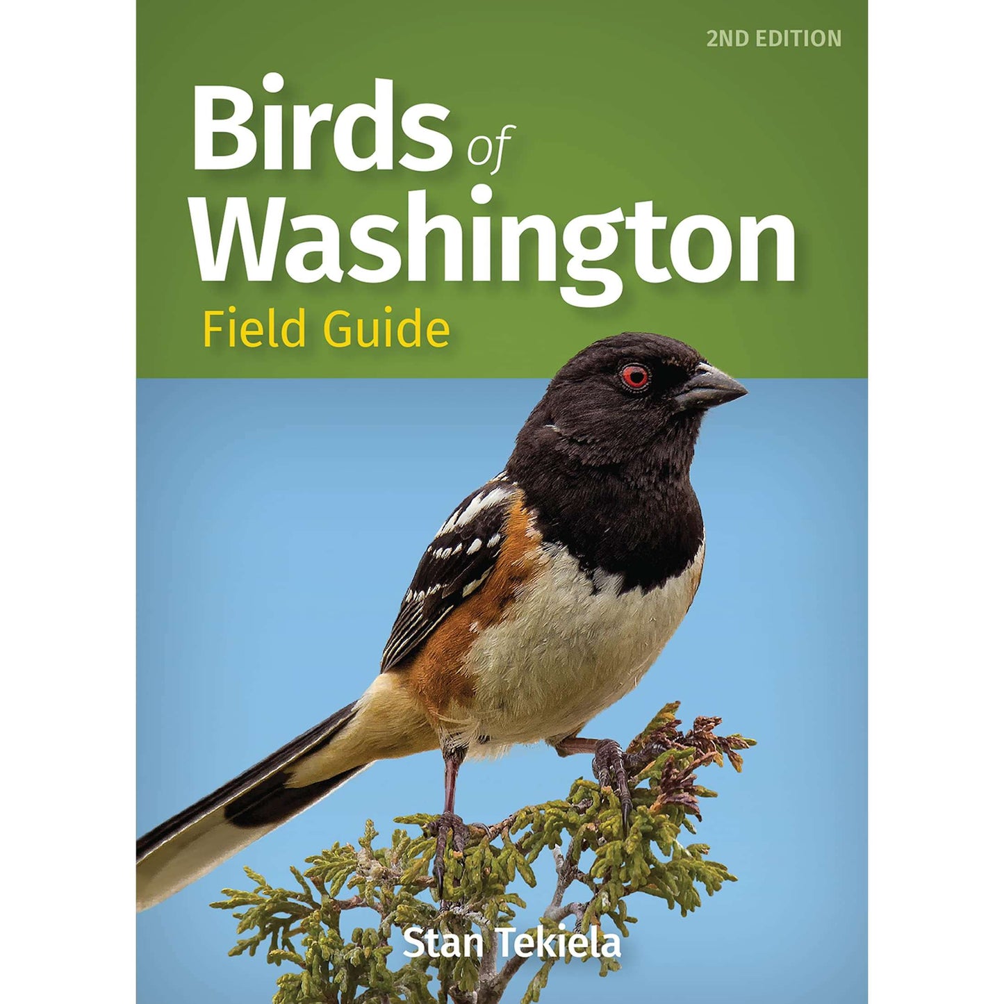 Paradise Clay AVK118 Birds of Washington Field Guide, 2nd Ed. - Book